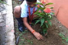 Students Planting Sapling on their Birthday. (9-08-2018) RPS